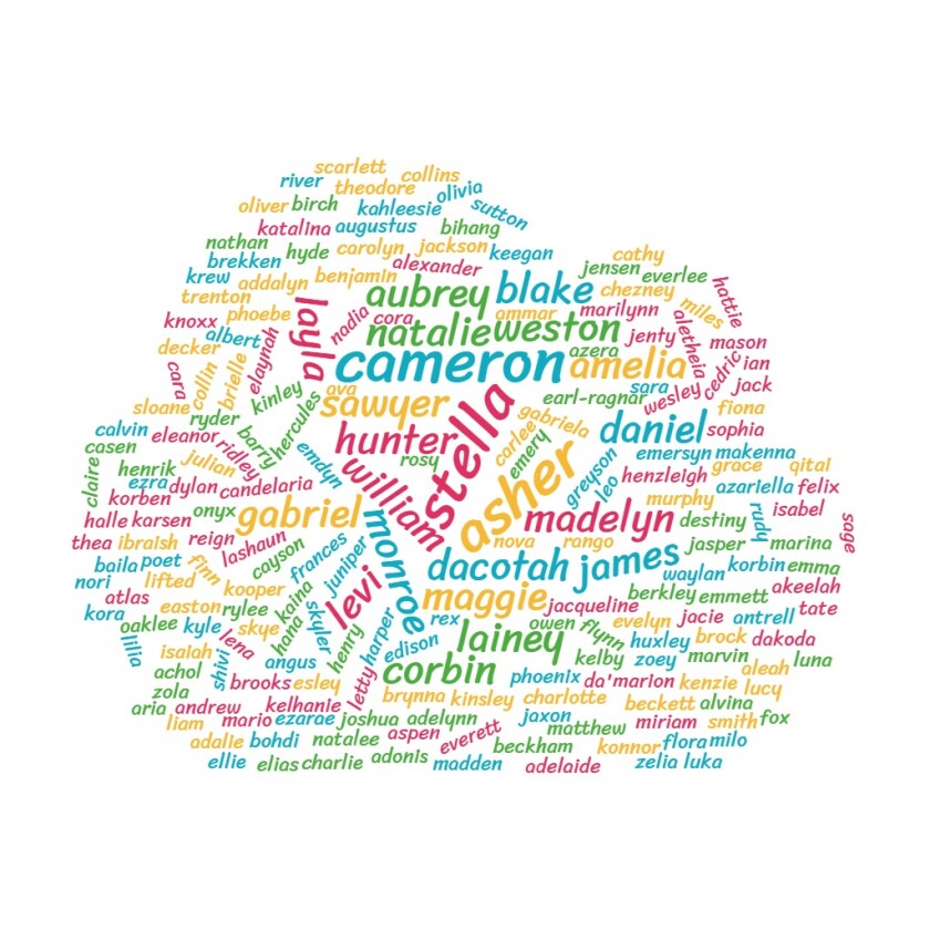 A word cloud with Cameron, Asher, and Stella as the largest words.