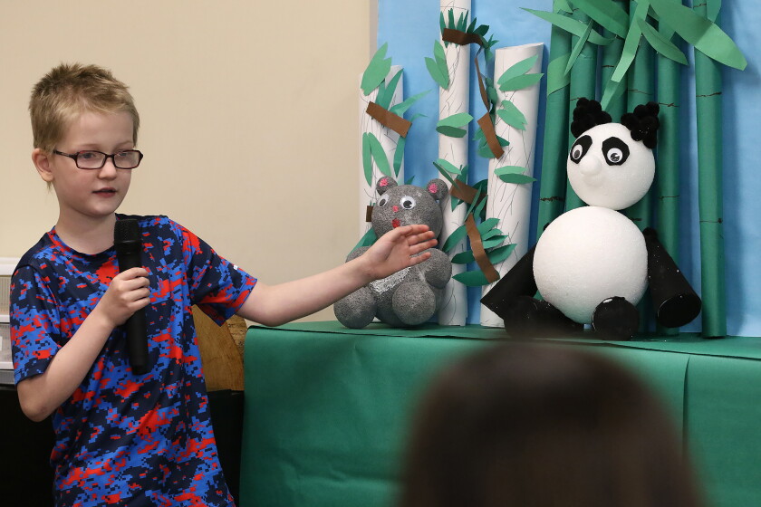 Year-End Projects - Jamestown Sun 12 Attendees learned about how much bamboo pandas eat.