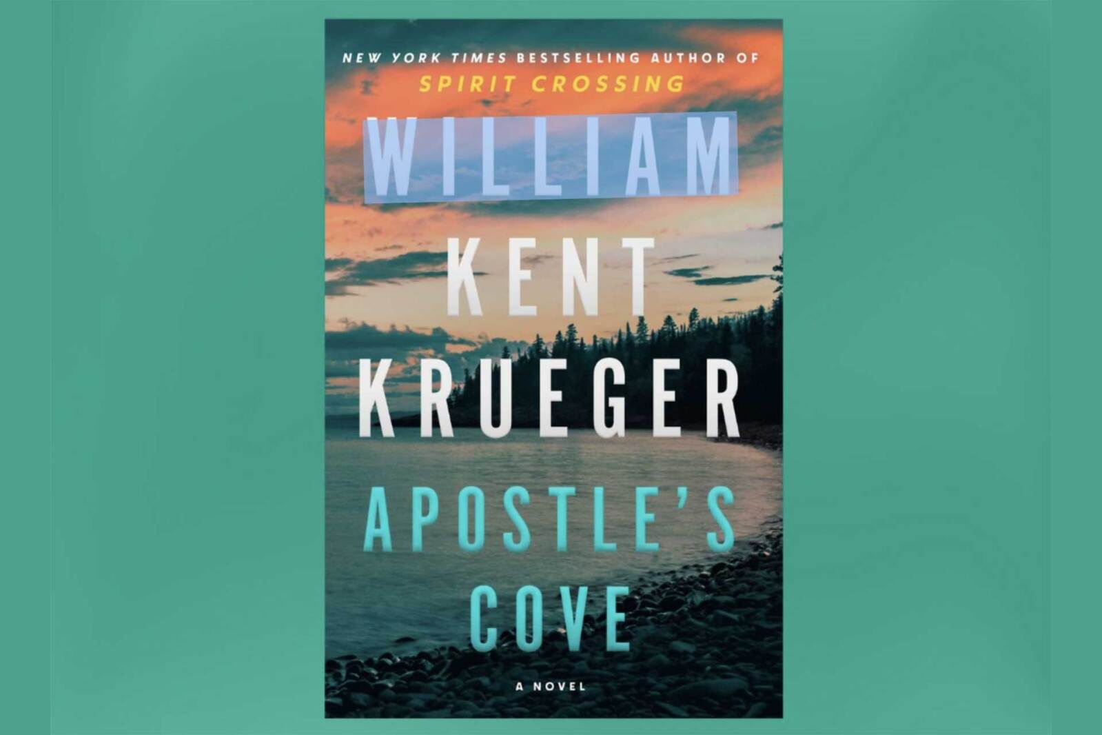 Best selling author to sign latest Aug. 30 at Turtle Town Books and Gifts