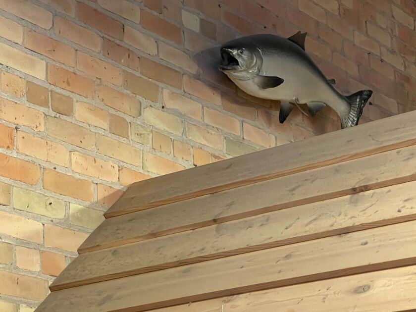 View of the wooden roof adjoining the brick wall, with mounted fish visible against the wall above.