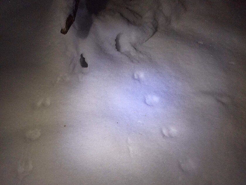 011422.O.ST.StoneColumn_tracks.jpg