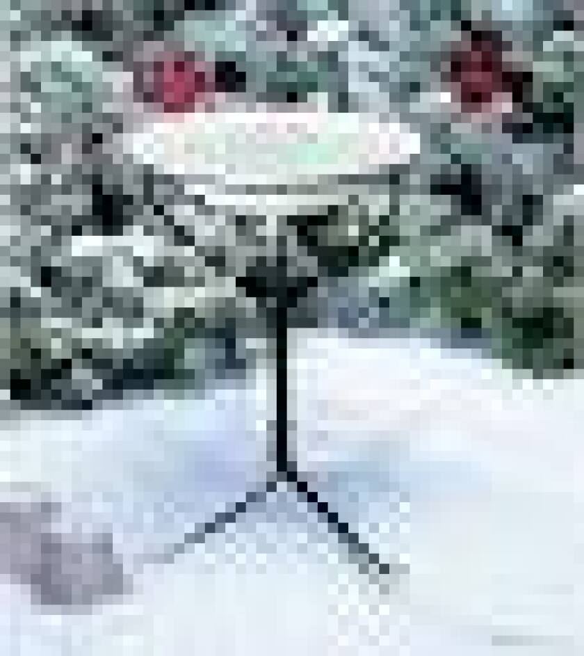 Heated birdbath in a snowy scene