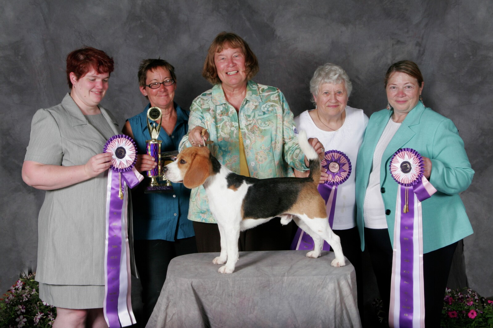 UKC dog show results