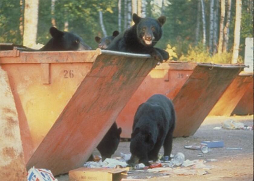 070922.N.PRE.BearsDumpsters.jpg