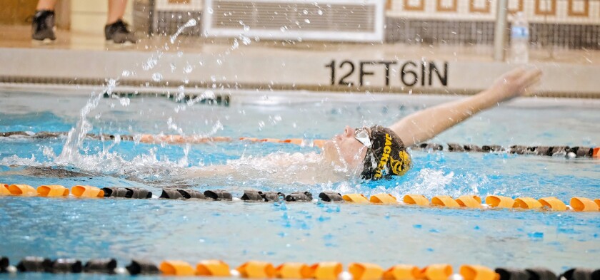 PerSwim2.jpg