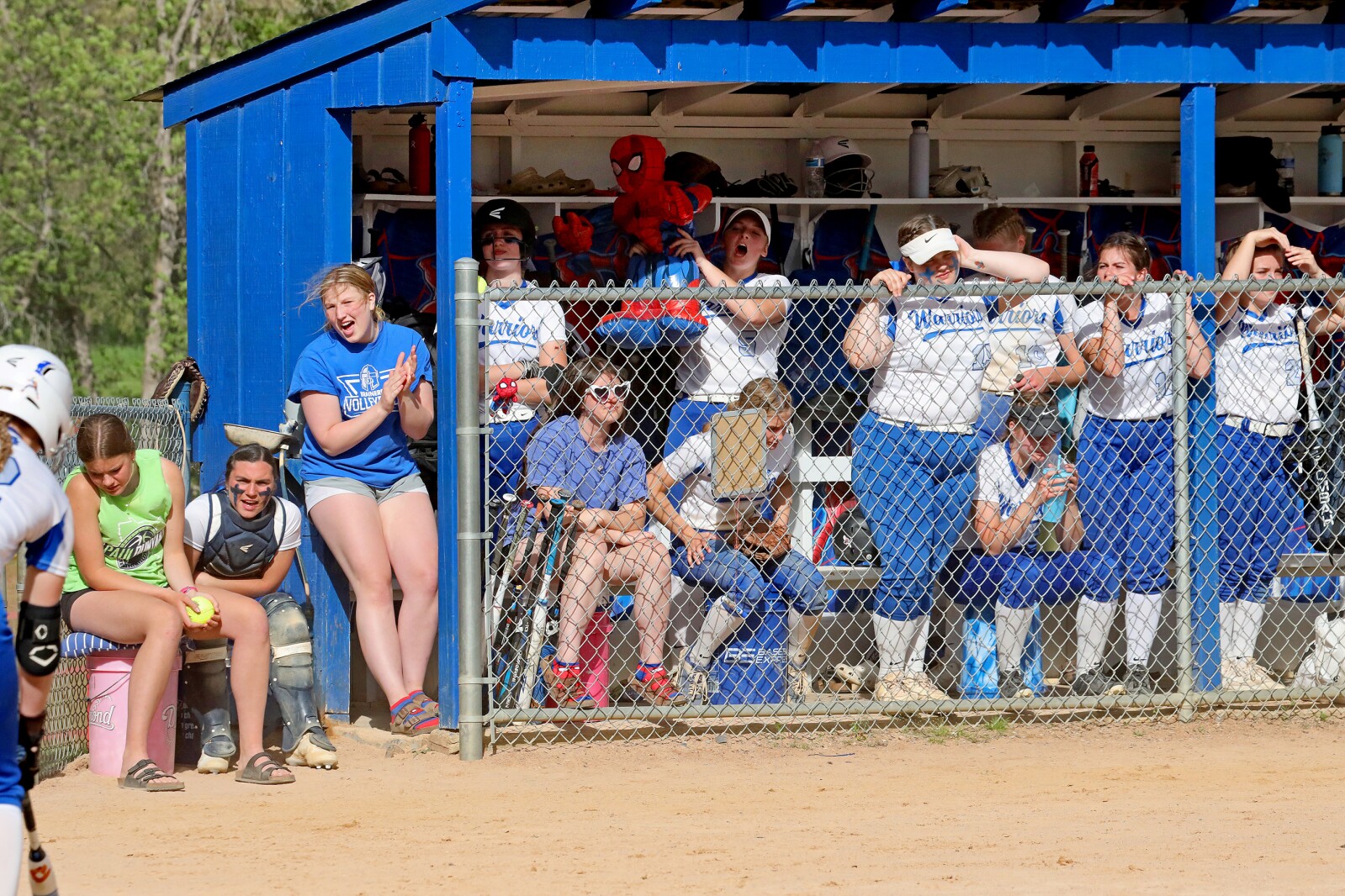 Brainerd softball against St. Michael-Albertville during the Section 8-4A final Thursday, June 2, 2022, at Brainerd.
