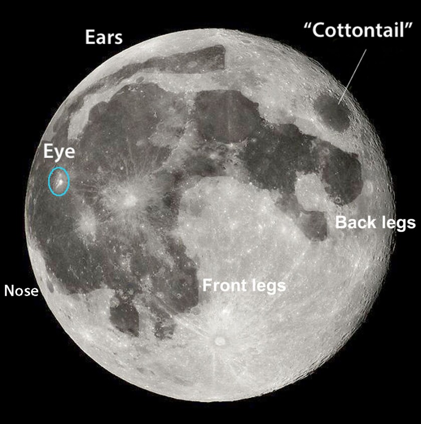 Rabbit in the moon