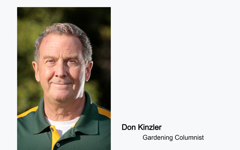 Don Kinzler column mug.jpg