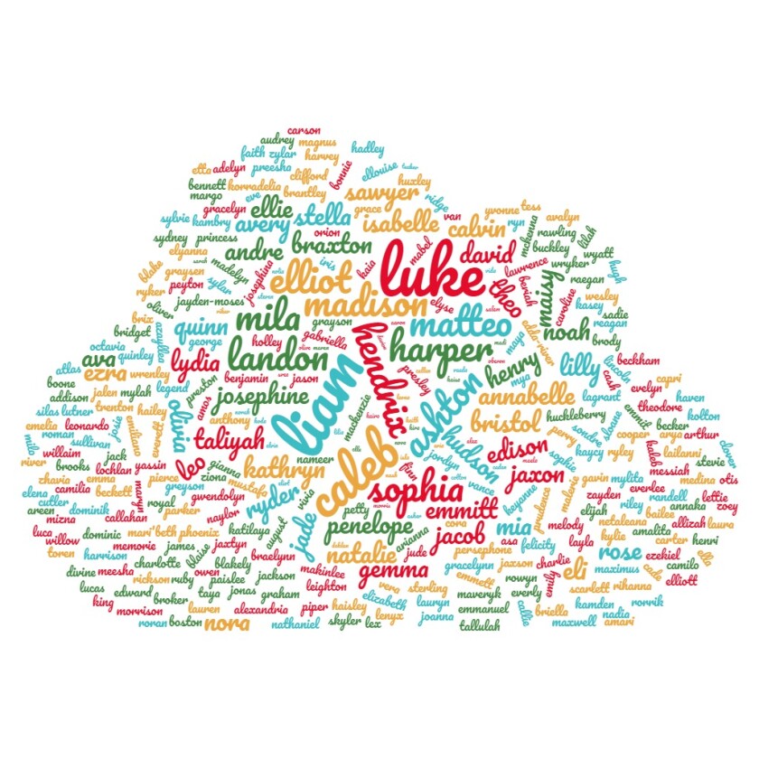 wordcloud nurserynews 011222.jpg