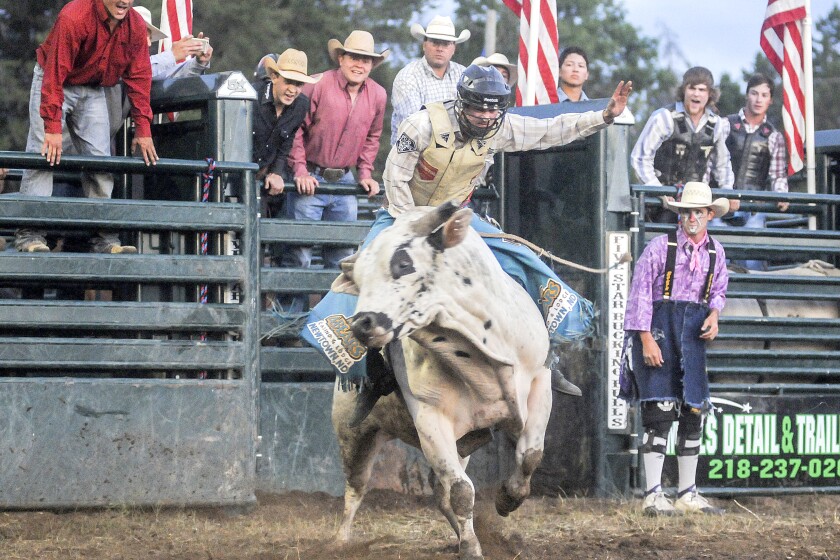 Minnesota's largest rodeo event marks 40th anniversary - Park Rapids ...