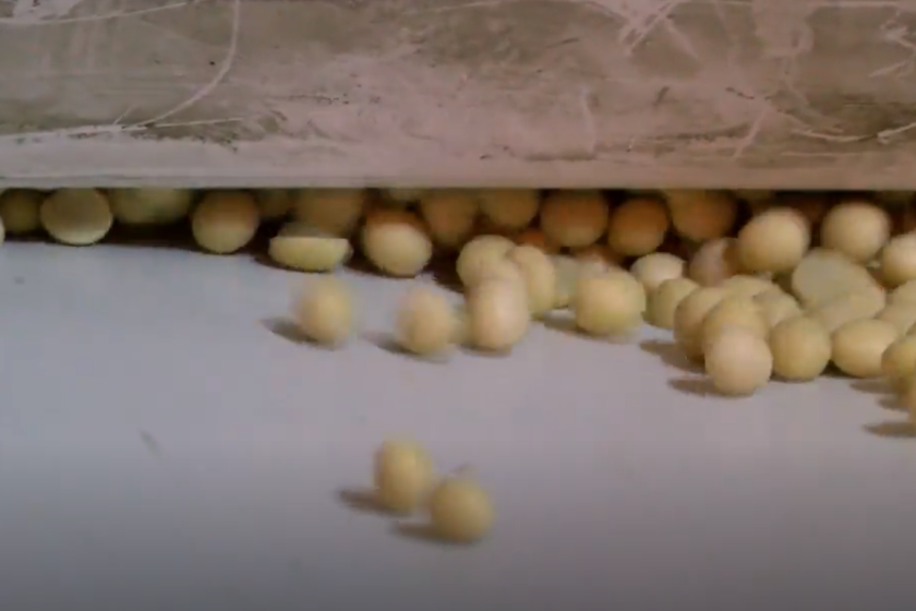 soybeans.png