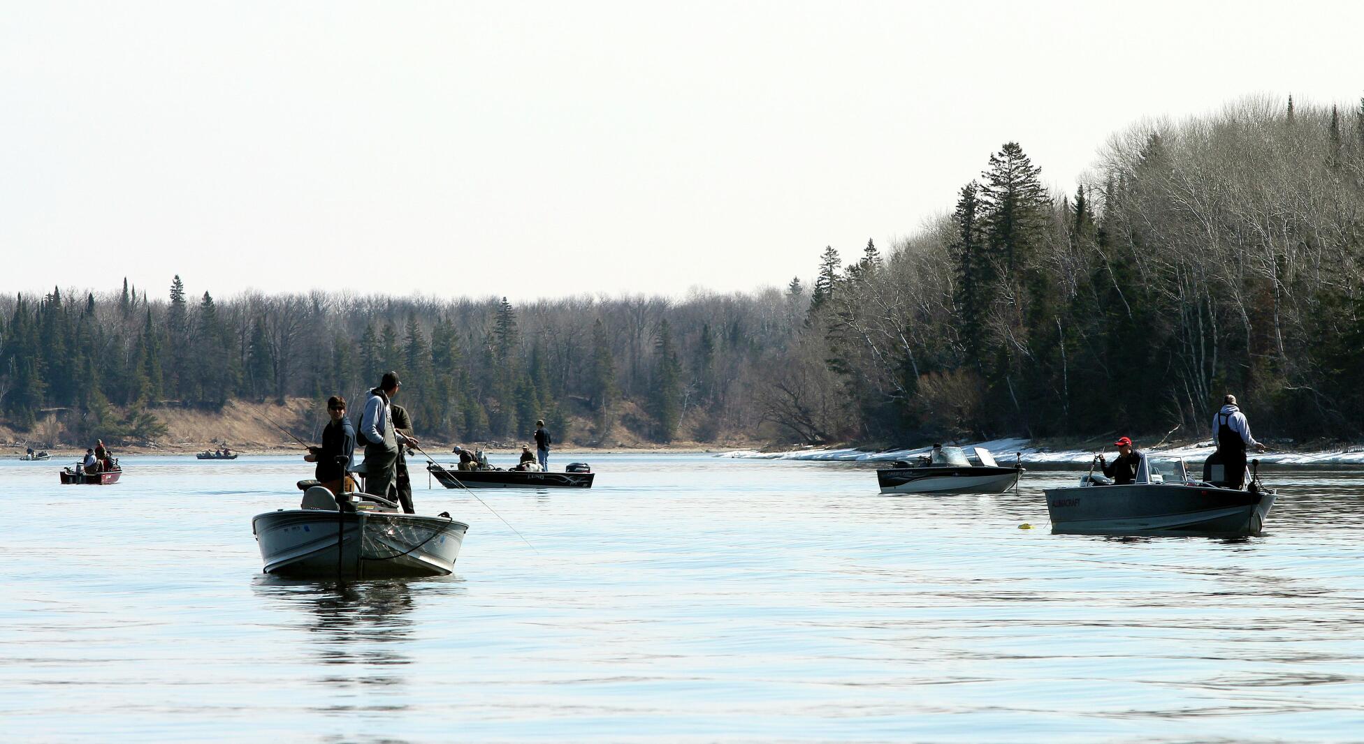 Lake of the Woods, Rainy River walleye limits may change Duluth News