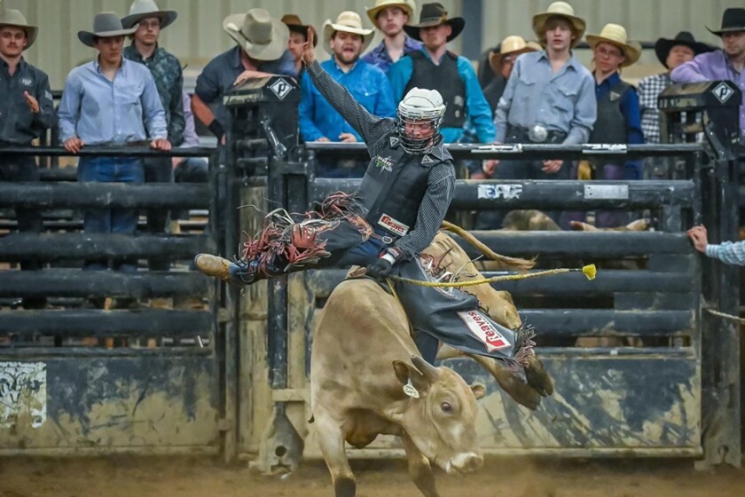 Raise 'Em Rank series brings bull riding back to the Corn Palace ...