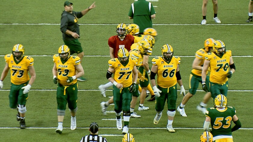 Bison Oline.jpg