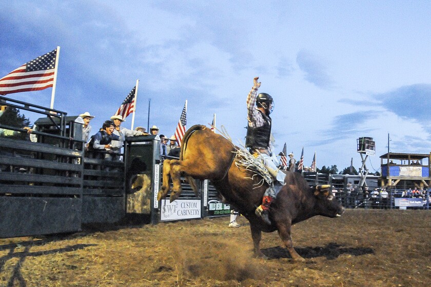 Park Rapids rodeo weekend continues with two nights of bull riding ...