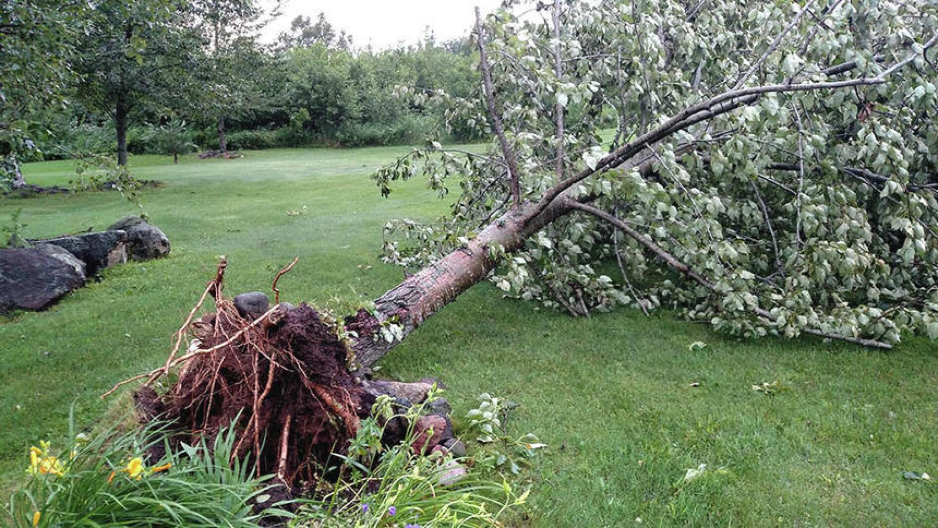 What Triggered The Storms And Why Was Damage So Severe In Some Areas what-triggered-the-storms-and-why-was-damage-so-severe-in-some-areas