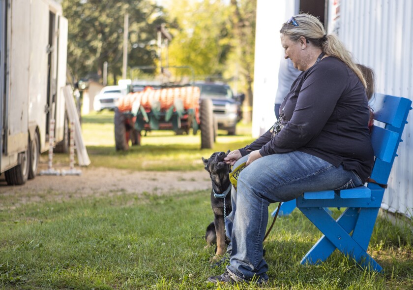 Dog Agility Judging 009.jpg