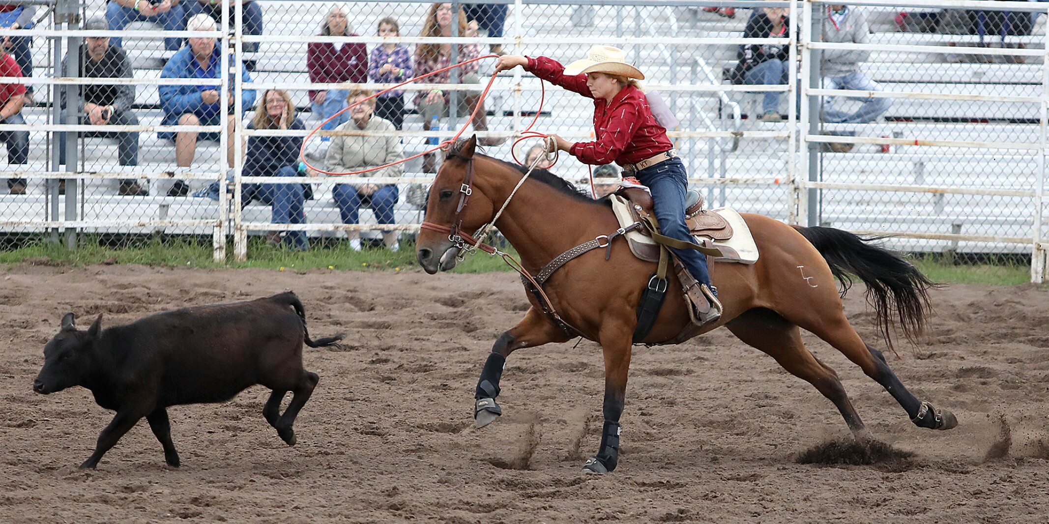 Classic Rodeo Photo gallery: 2019 Great Northern Classic Rodeo in Superior - Duluth ...