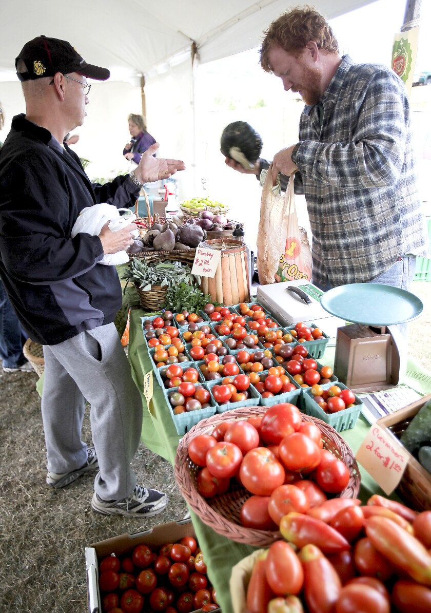 Men talk over a table of tomatoes.