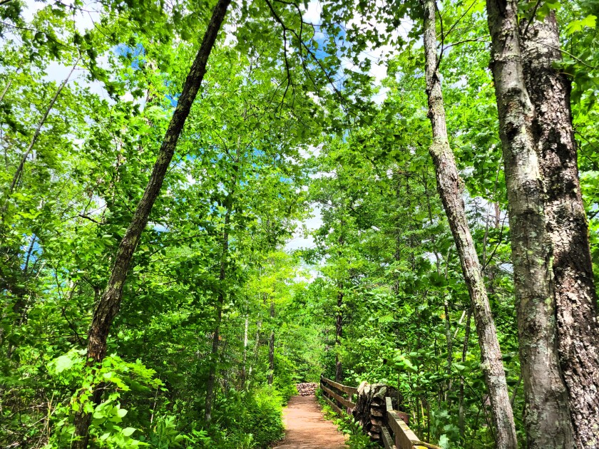 Towering balsam fir, aspen and spruce hug the wide Big Manitou Falls River Trail.