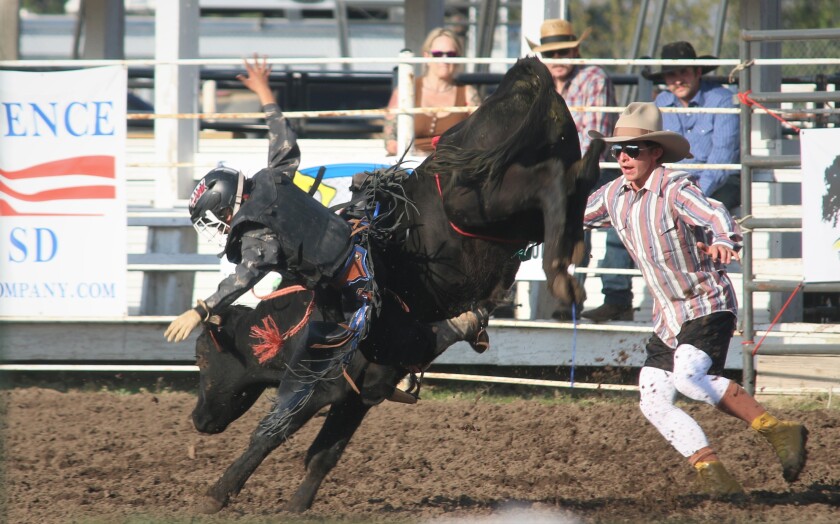 Rodeo community comes together for Mitchell area rancher battling brain ...