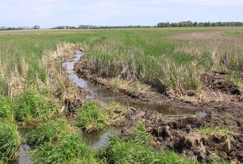 051922.N.SDNW.WETLANDSFARMSTREAM.jpeg