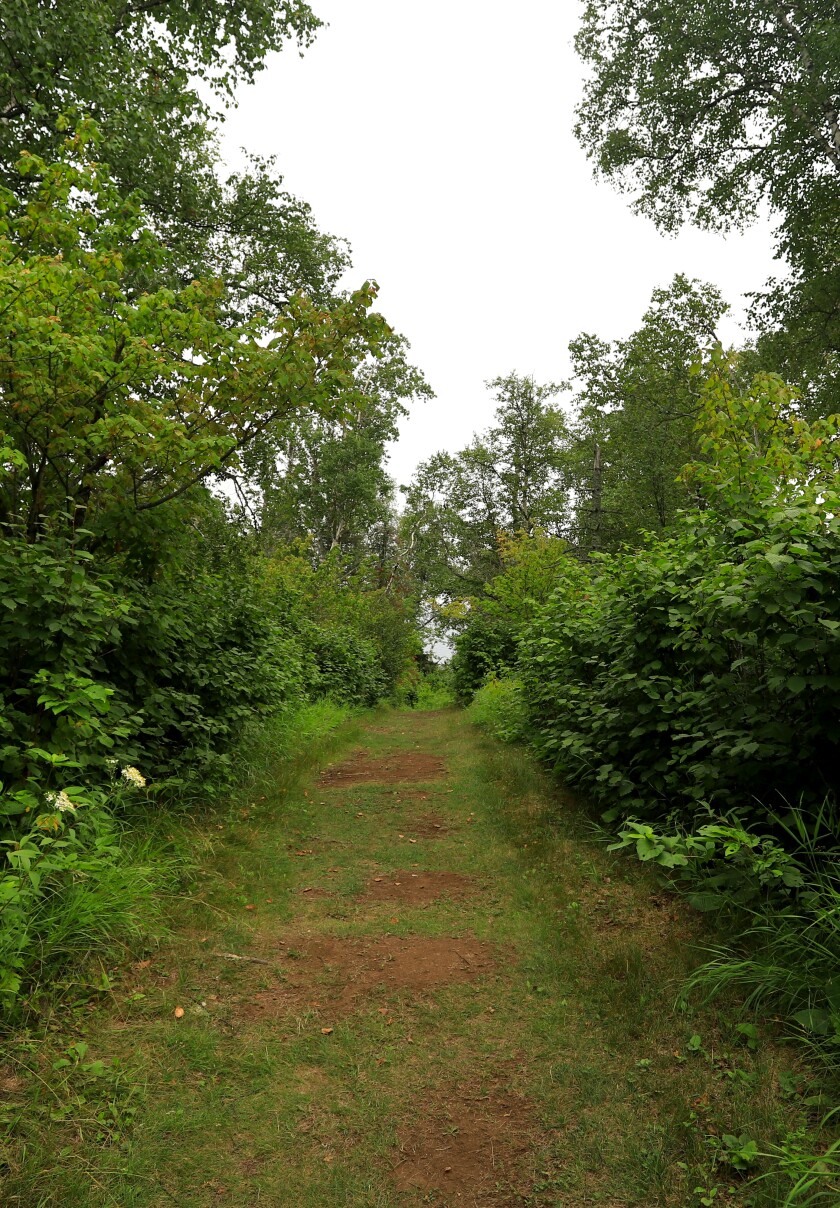 081421.O.DNT.HappyTrails.c04.jpg