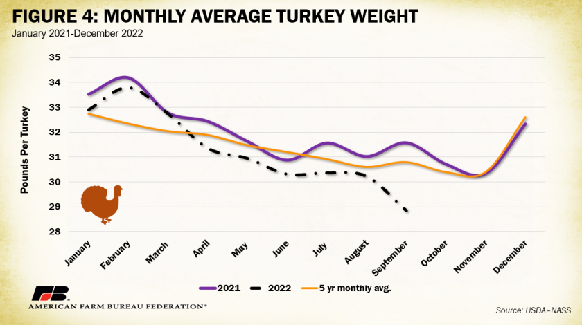 A chart illustrating that turkey weights are decreasing in the fall of 2022, compared to a normal uptick in weights during the season leading up to Thanksgiving.