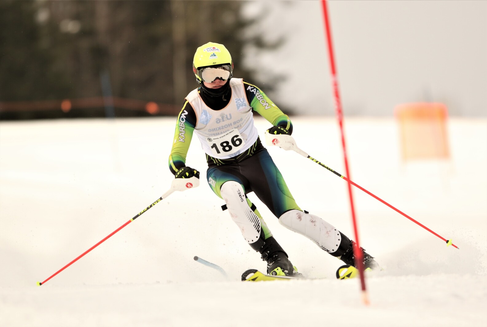 Alpine skier competes in state.