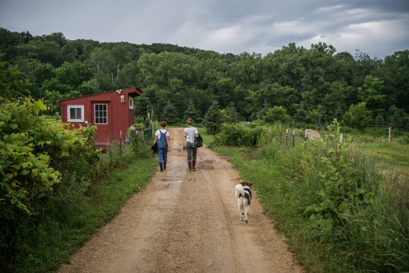 Bluff Valley Farm