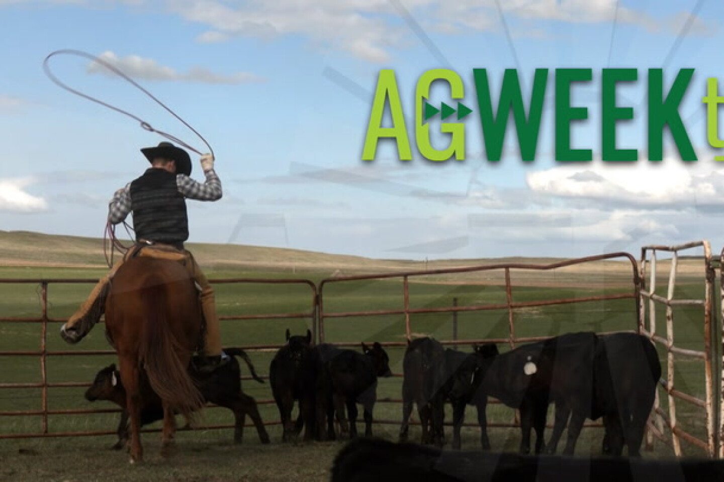 Get to know ag YouTubers Chet Larson and Brian Brown - Agweek | #1 ...