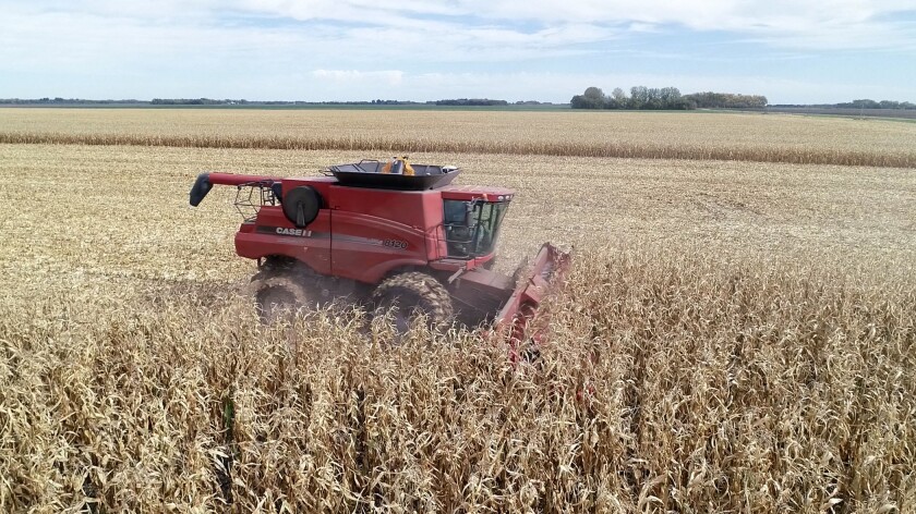 Metz Farm pic 4.jpg