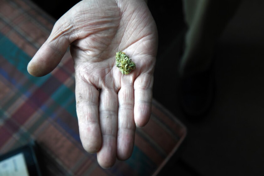 a cannabis flower.jpg