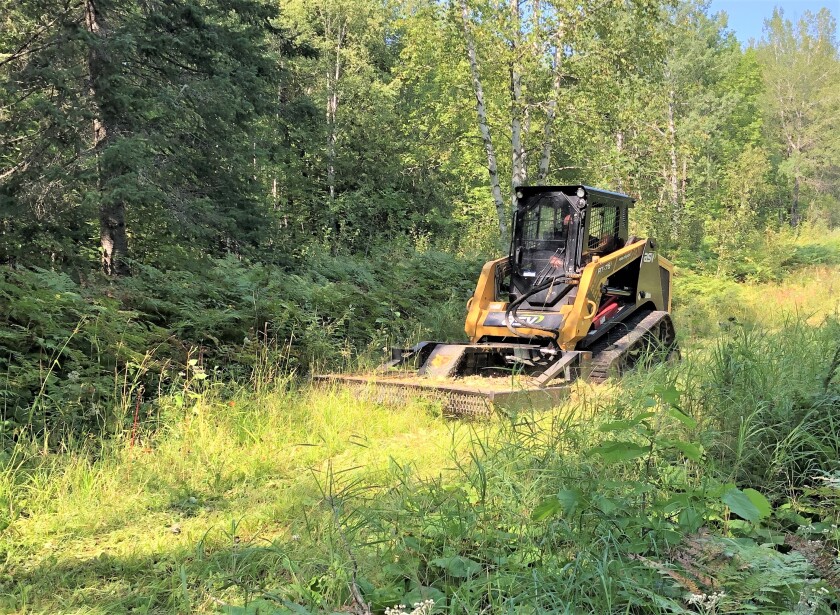 mowing.jpg