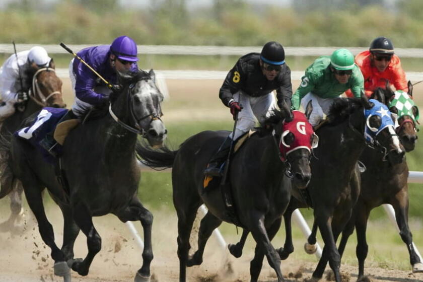 Horse Racing Fund Racers Funds approved for horse racing to return to Fargo this summer - Grand ...