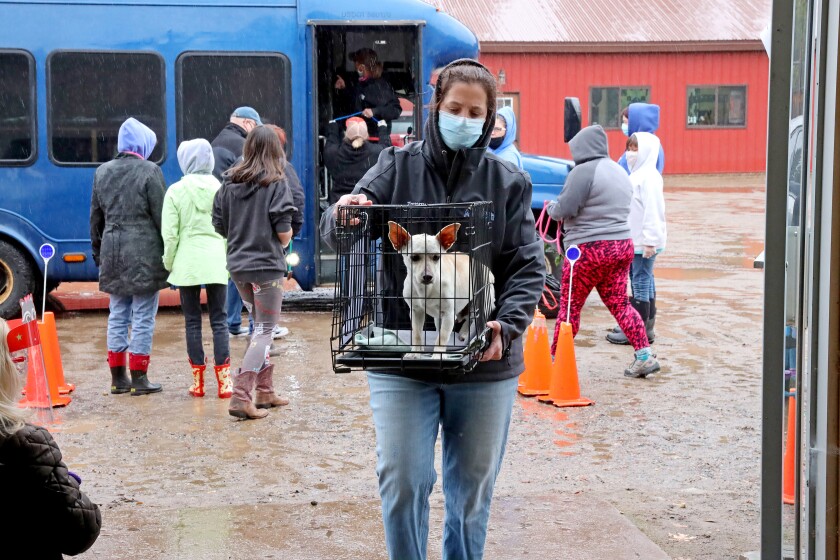 041721.F.BD.DOGRESCUE5.jpg