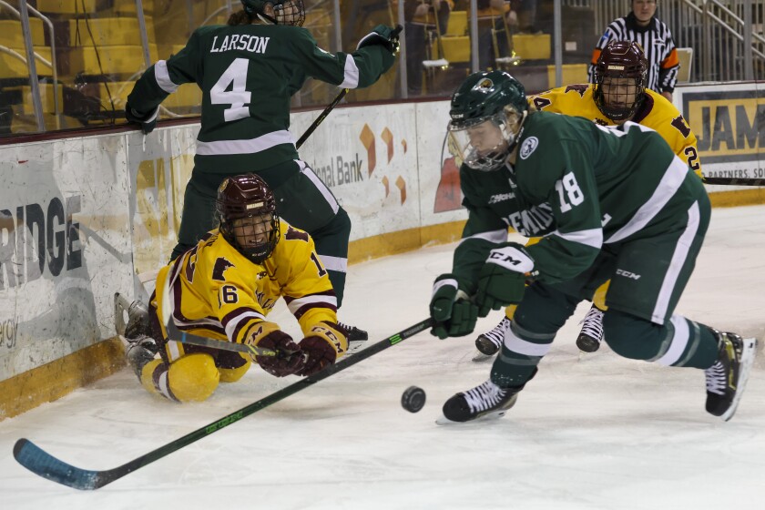 Minnesota Duluth Bemidji State Women's Hockey