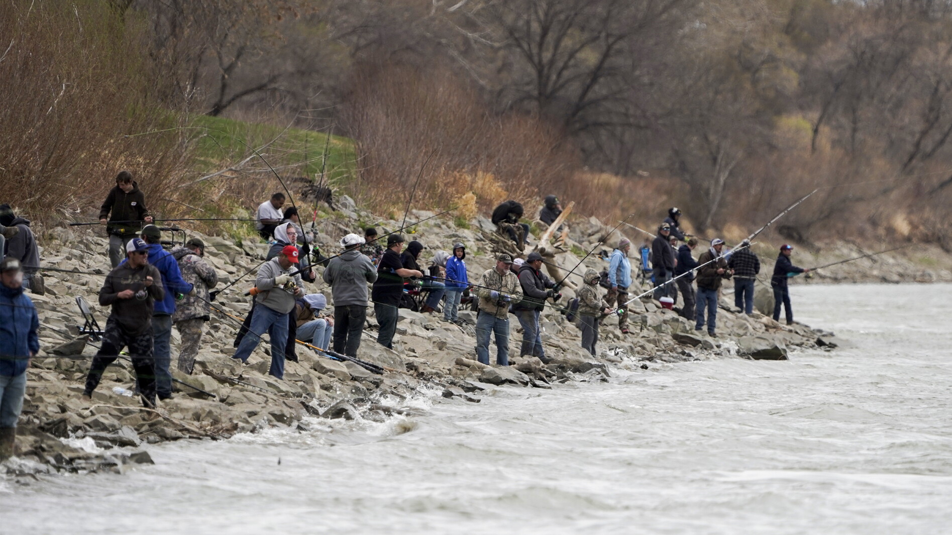 North Dakota’s paddlefish snagging season closes early