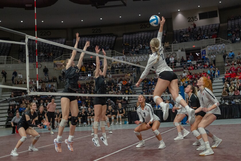 Cannon Falls vs. Caledonia Volleyball Section 1AA Section Champi