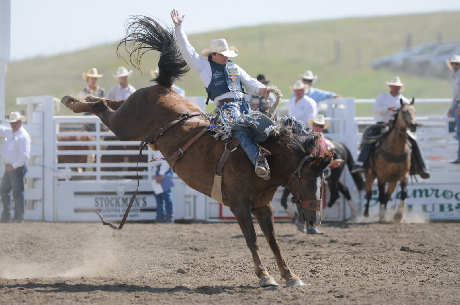 Harry Knight Home on The Range set to host 19 of top 20 saddle bronc riders in the ...