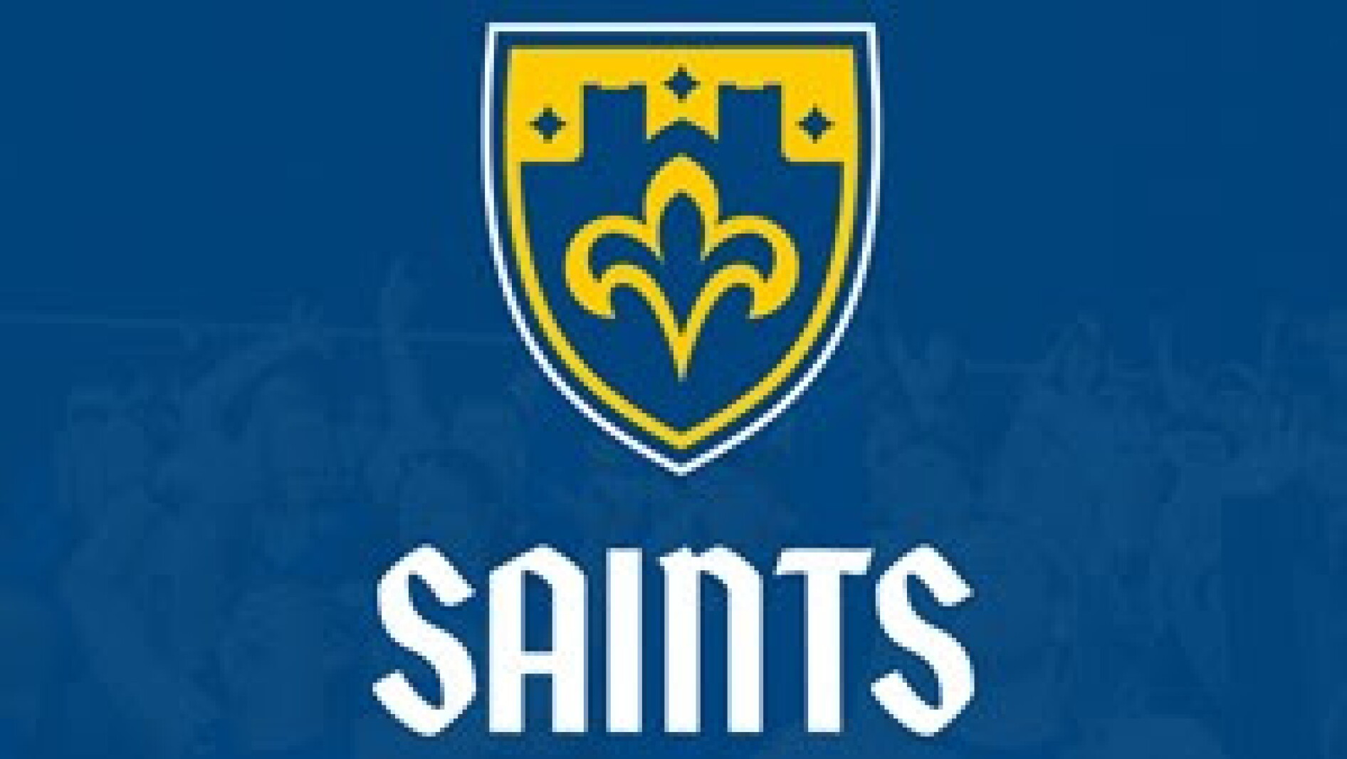 Saints report: CSS routed in football opener - Duluth News Tribune ...