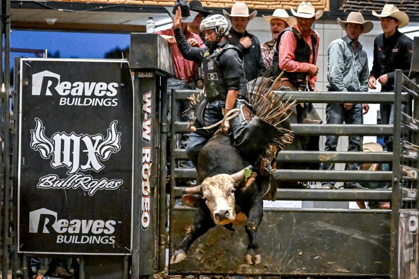 Exciting Rodeo Competition showcasing various thrilling events in the year 2022