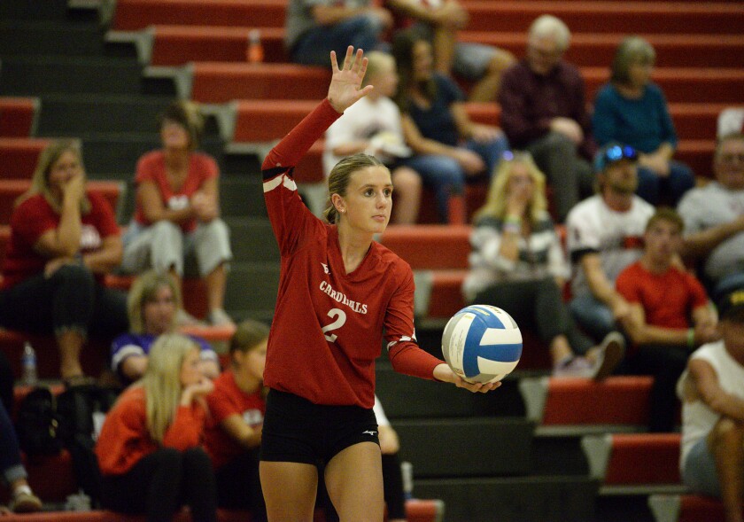 Volleyball roundup: A milestone night for Willmar Cardinals freshman ...