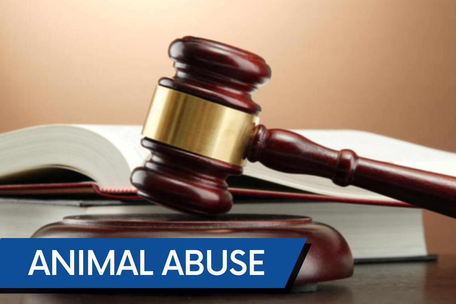 Waseca man charged in death of dog during January extreme cold