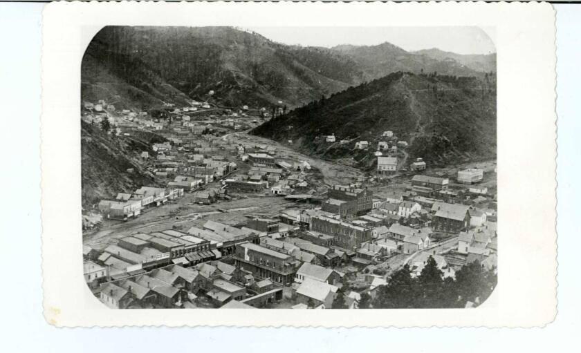 0097.155.046 Deadwood After Fire 2.jpg