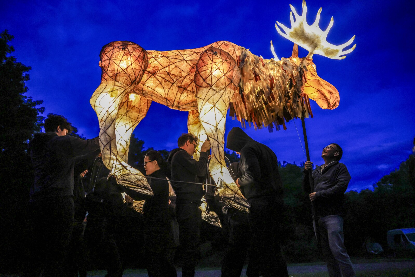 Front Row Seat: Meet the lantern moose built to light Duluth nights – Duluth News Tribune Front Row Seat: Meet the lantern moose built to light Duluth nights – Duluth News Tribune