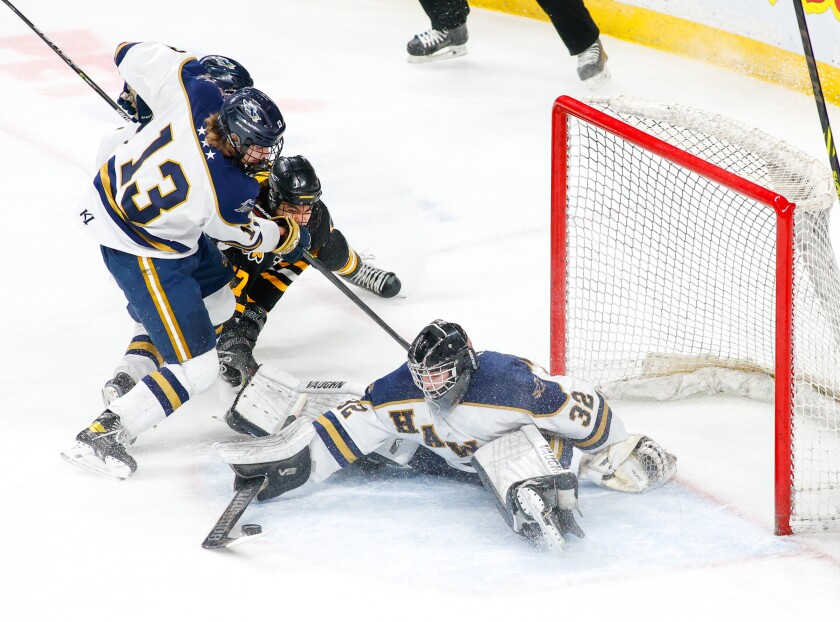 Warroad vs Hermantown_0295.jpg