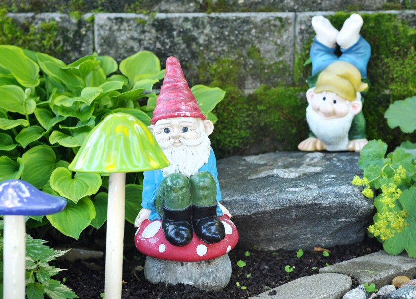 Gnomes in garden