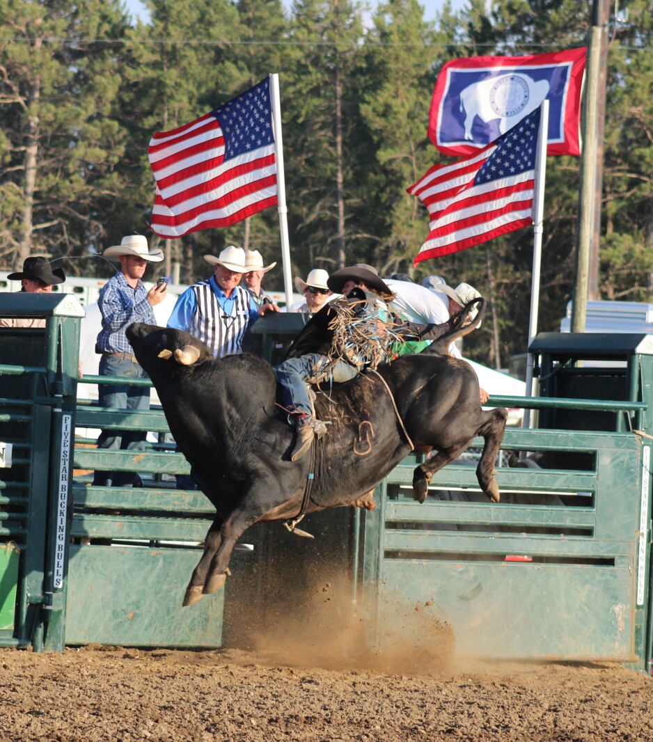 Pro bull rider from Frazee to compete at Park Rapids rodeo next weekend ...