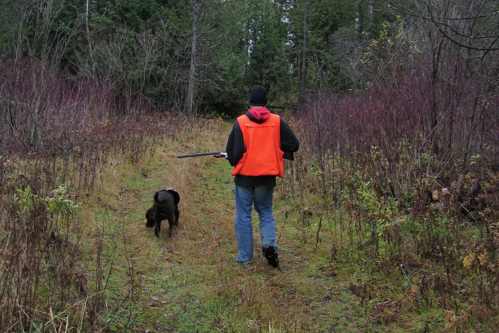 Outdoors Notebook Minnesota small game license sales continue to lag